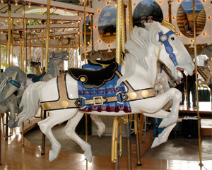 carousel image