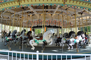carousel image