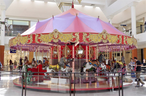 carousel image
