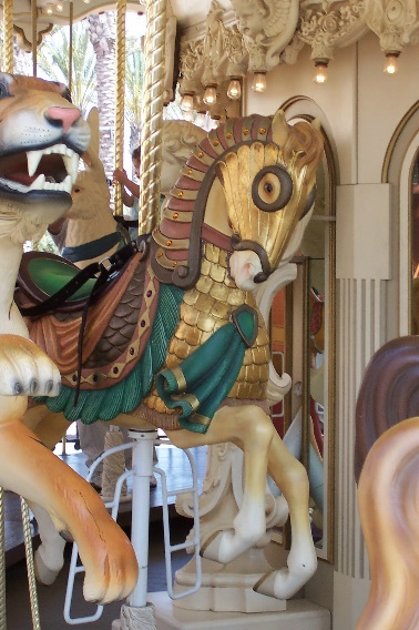 carousel image
