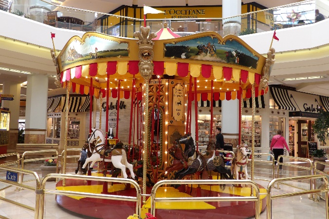 carousel image