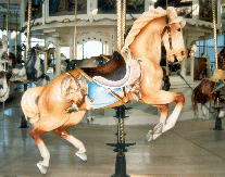 PTC #18 Jumper