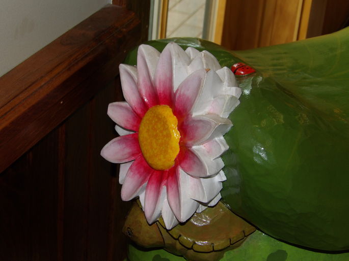 Click to display the next picture