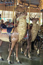 Illions Deer Outside and 2nd Row Standers