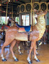 Illions Deer Outside Row Stander