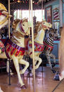 Illions Standers - 4th Row Horse Painted as a Zebra