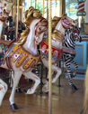 Illions Standers - 4th Row Horse Painted as a Zebra
