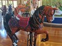 Sassie Mae, the Horse