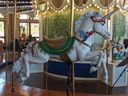 Marcy the Unicorn