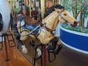 Cheyenne, the Cavalry Horse