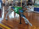 Neal, the Greyhound