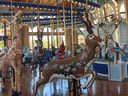 Tez, the Antelope