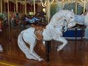 Freedom, the Horse