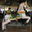 U.S. Merry-Go-Round Horse