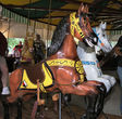 U.S. Merry-Go-Round Horses