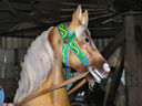 U.S. Merry-Go-Round Horse