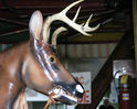 U.S. Merry-Go-Round Deer