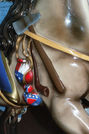 PTC #17 3rd Row Jumper Detail