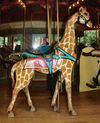 Outside Row Giraffe