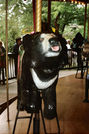 Outside Row Sloth Bear