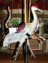 Outside Row Whooping Crane and Inner Row Tiger
