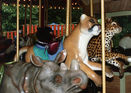 Rhinoceros, Eastern Cougar, and Leopard