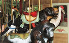 Gorilla, Sun Bear and Whooping Crane