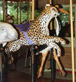 Manatee, Cheetah, and Storm's Stork