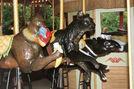 Mandrill, Black Leopard, and Tapir