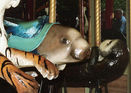 Sumatran Tiger, Manatee, and Otter