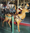 Herschell-Spillman Deer Outside Row Stander