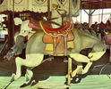 Herschell-Spillman Outside Row Bucking Bronco