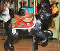 Outside Row Jumping Bear