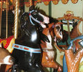Middle and Inside Row Horses