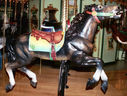 Outside Row Jumping Horse