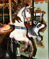 Middle Row Horse and Inside Row Raccoon