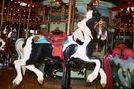 Outside Row Jumping Horse