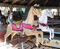 Horses