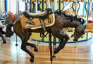 Carousel Works Western Michigan University Mascot Horse