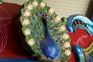 Peacock Shield