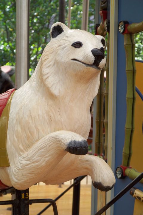 Click to display the next picture
