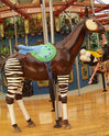 Okapi