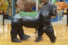 Silverback Gorilla