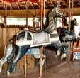 Black Horse