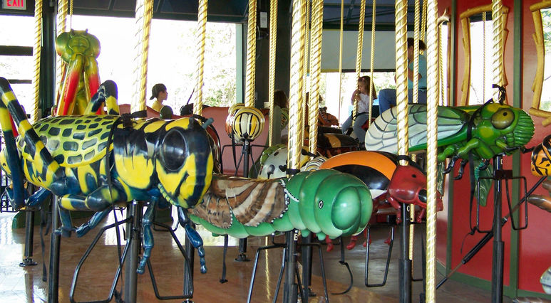 Click to display the next picture