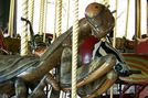 Praying Mantis Detail