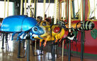 Beetle, Cicada, Ladybug, and Caterpillar
