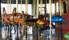 Grasshopper, Firefly, Lady Bug, and Scarab