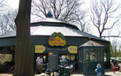 The Bug Carousel, Bronx Zoo, New York City, New York