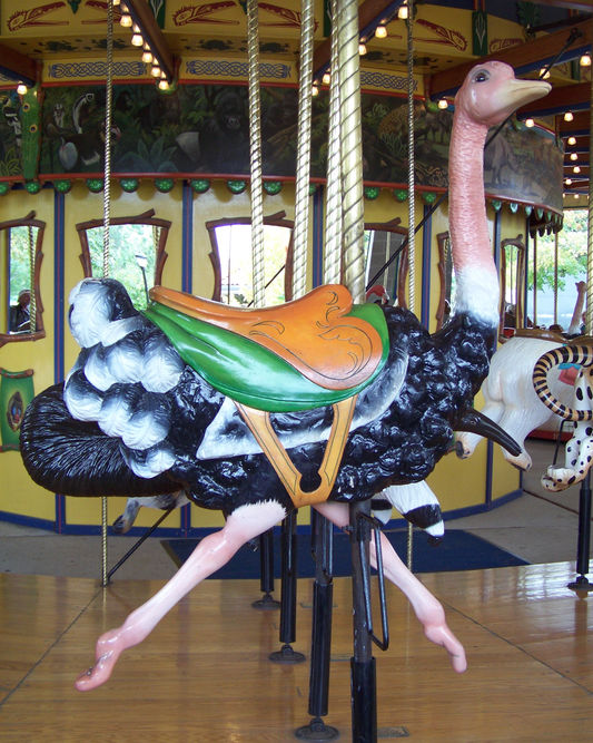 Click to display the next picture